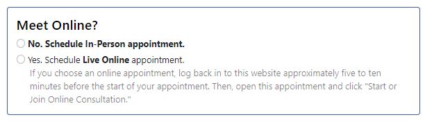 Create Appointment: Meet Online Question